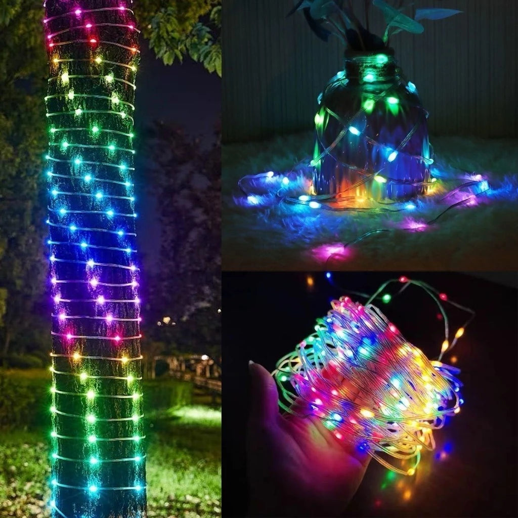 Smart Christmas LED Lights - Light Up Your Home with the Magic of Christmas 🎄
