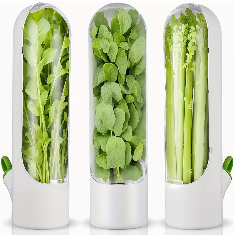 Keep Your Vegetables and Herbs Fresh for Up to 3 Weeks!