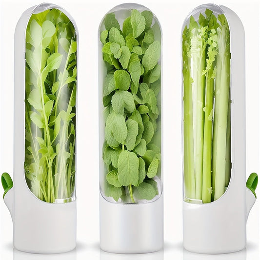 Keep Your Vegetables and Herbs Fresh for Up to 3 Weeks!