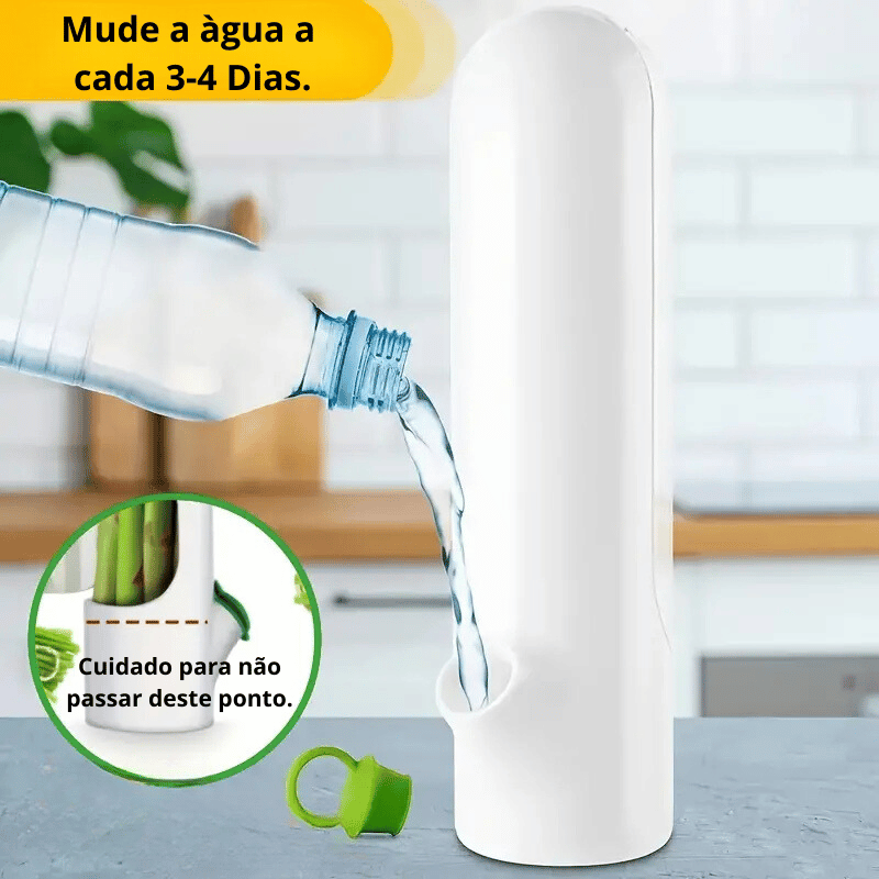 Keep Your Vegetables and Herbs Fresh for Up to 3 Weeks!