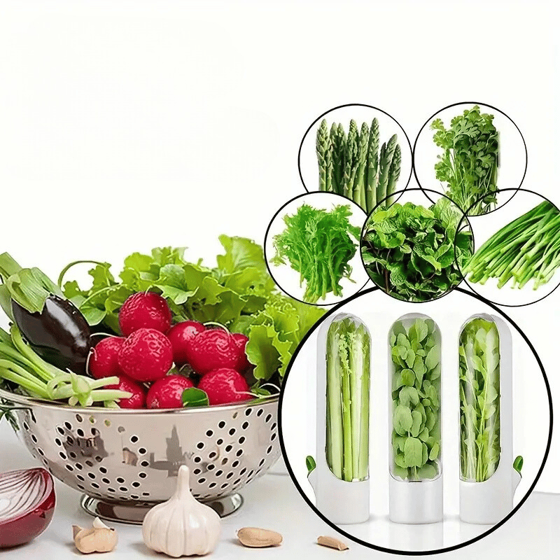 Keep Your Vegetables and Herbs Fresh for Up to 3 Weeks!
